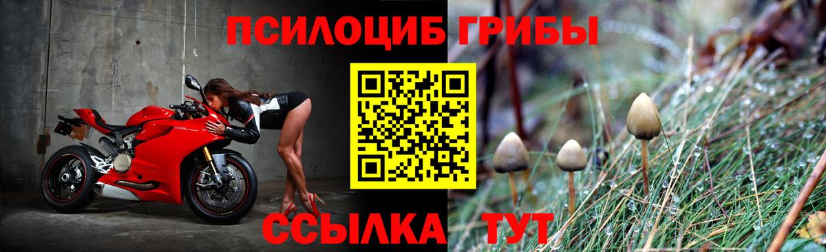 Галлюциногенные грибы GOLDEN TEACHER Шали